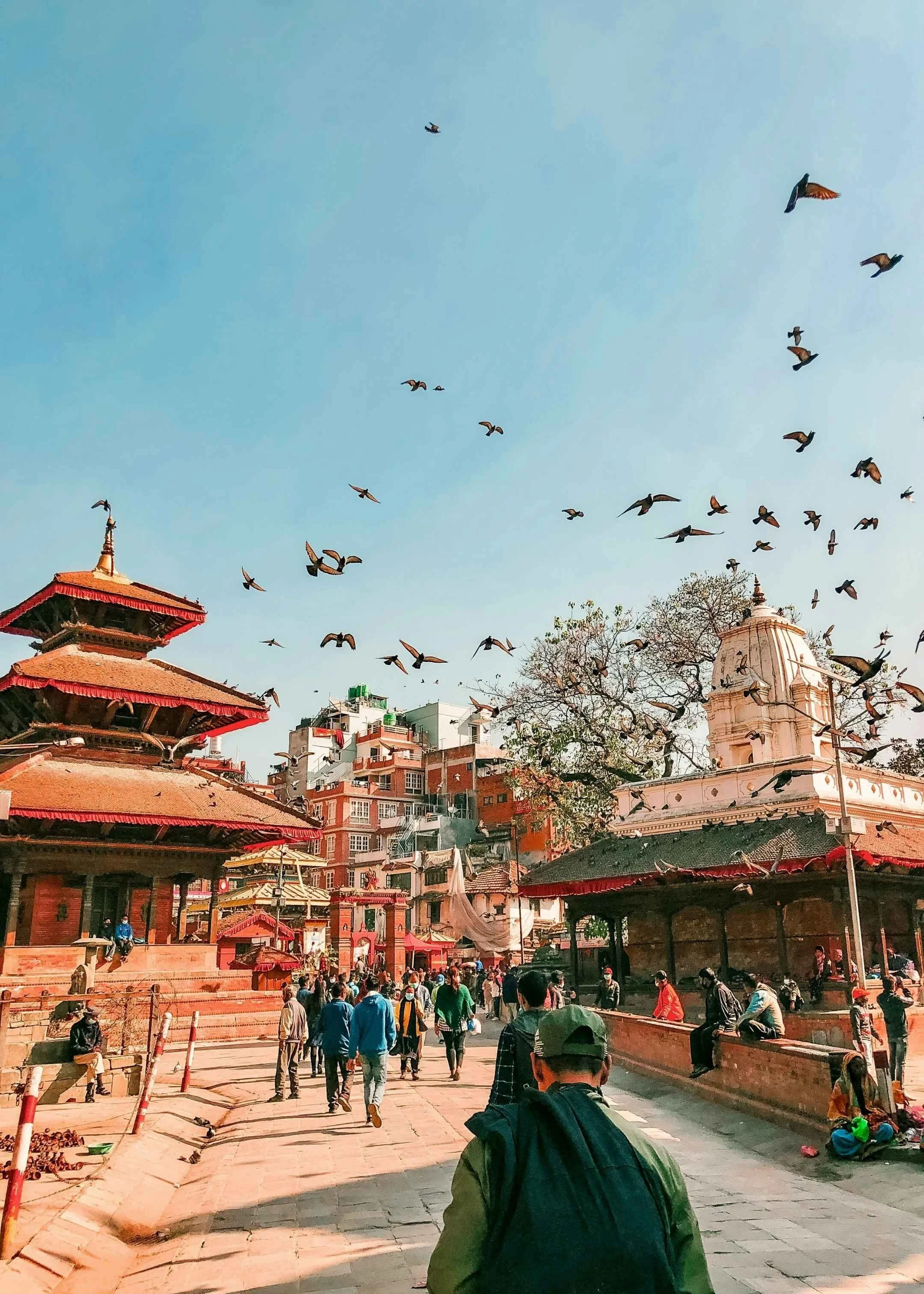 place royale de kathmandu avec des gens et des pigeons qui s'envolent