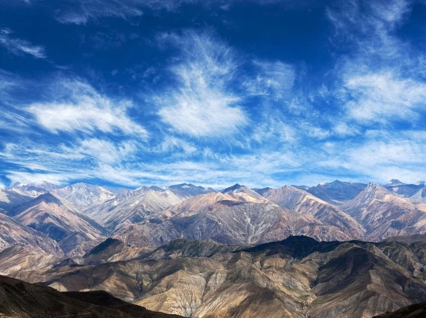 DOLPO_PRES.jpg