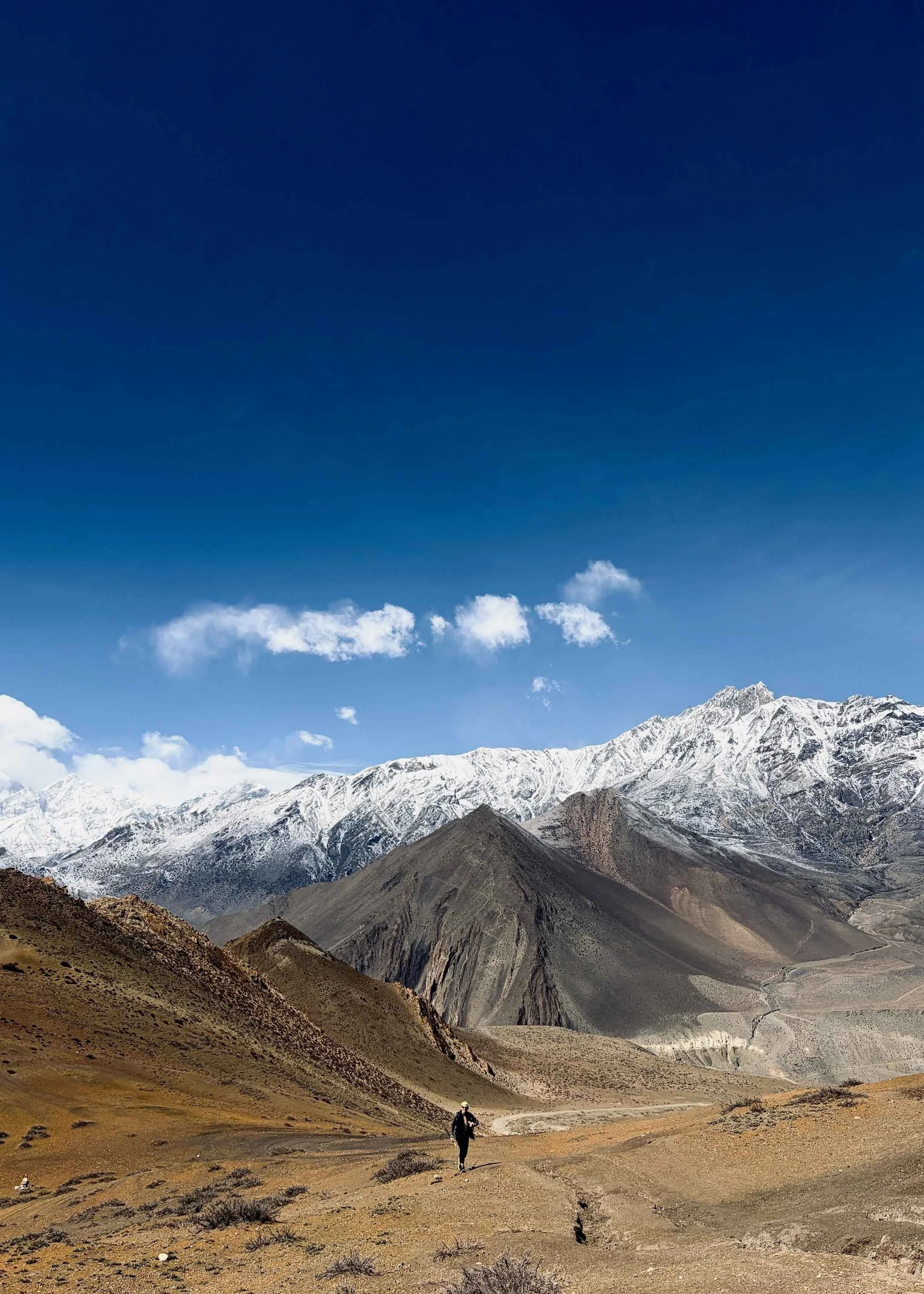 trailrunneur sur les hauts plateaux de l'annapurna, avec le massif du Dhaulagiri en panorama