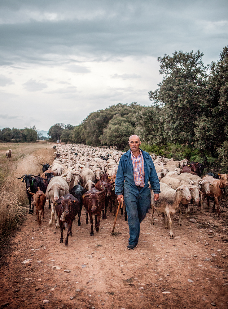 jeremyfenske_photography_video_spain_rioja-5716.jpg