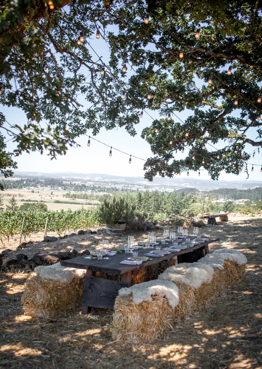 20170826_AnticaTerra_Vineyard_jeremyfenske_low-5185.jpg