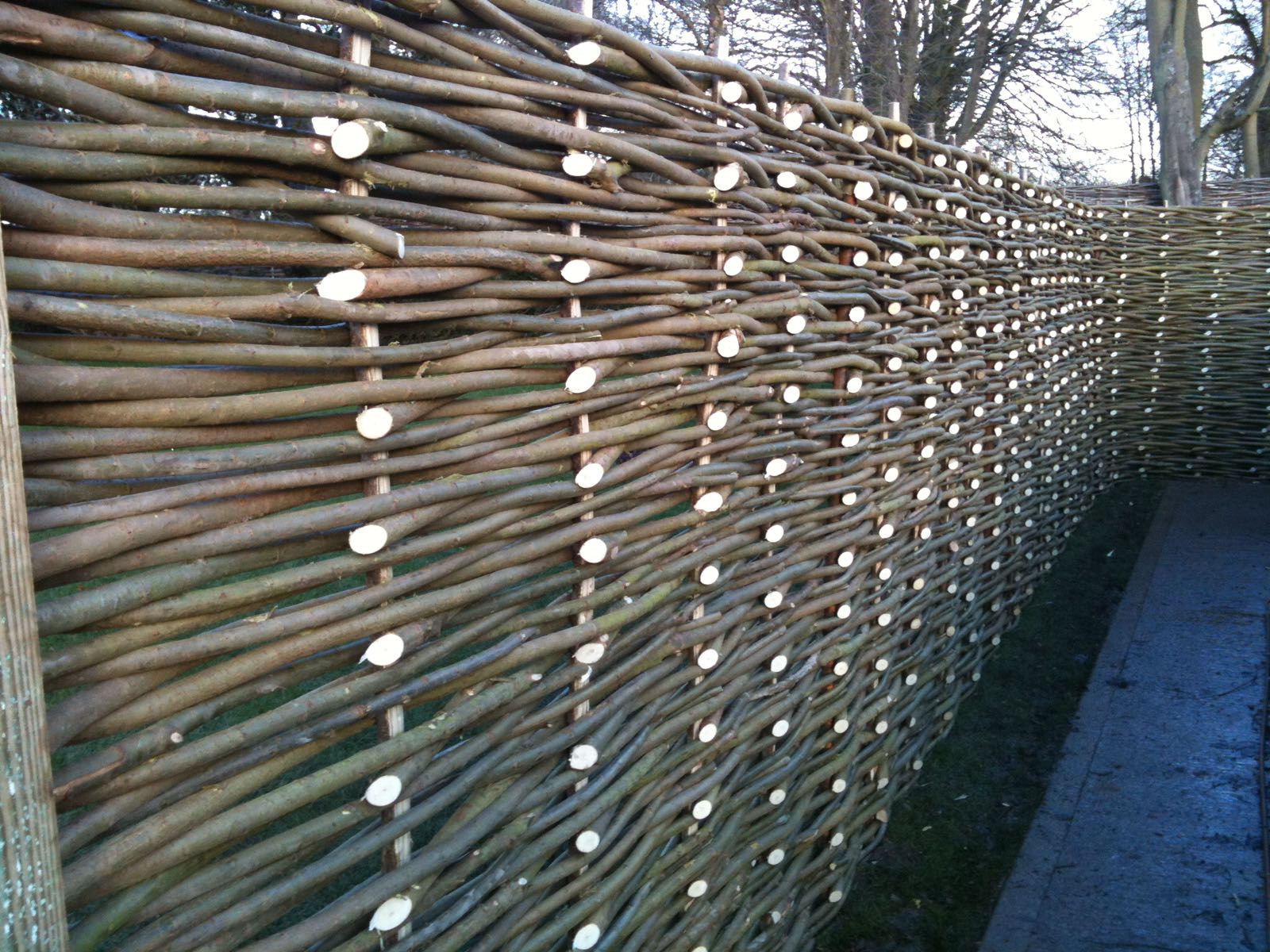 'The backs' Woven Willow