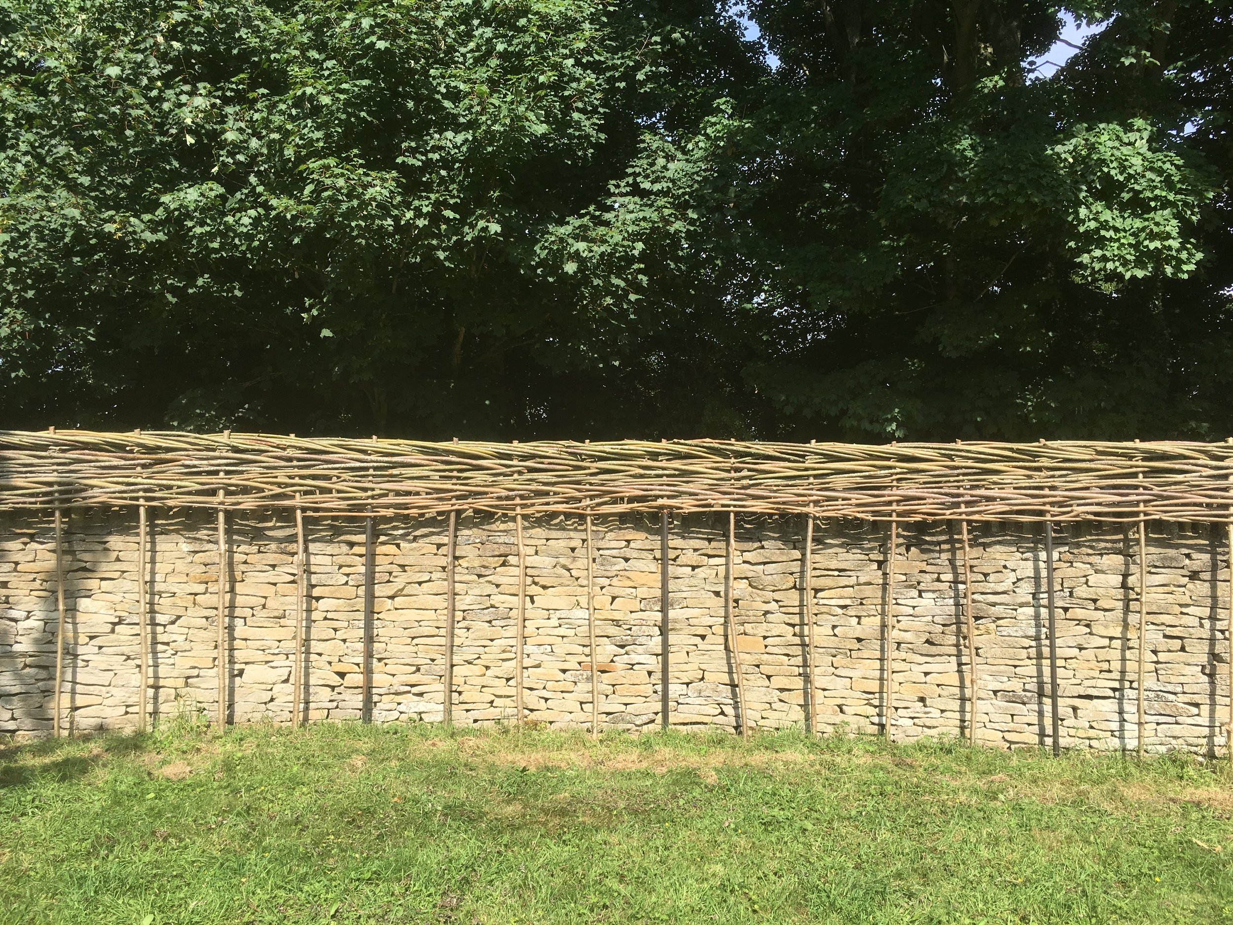 Willow fence