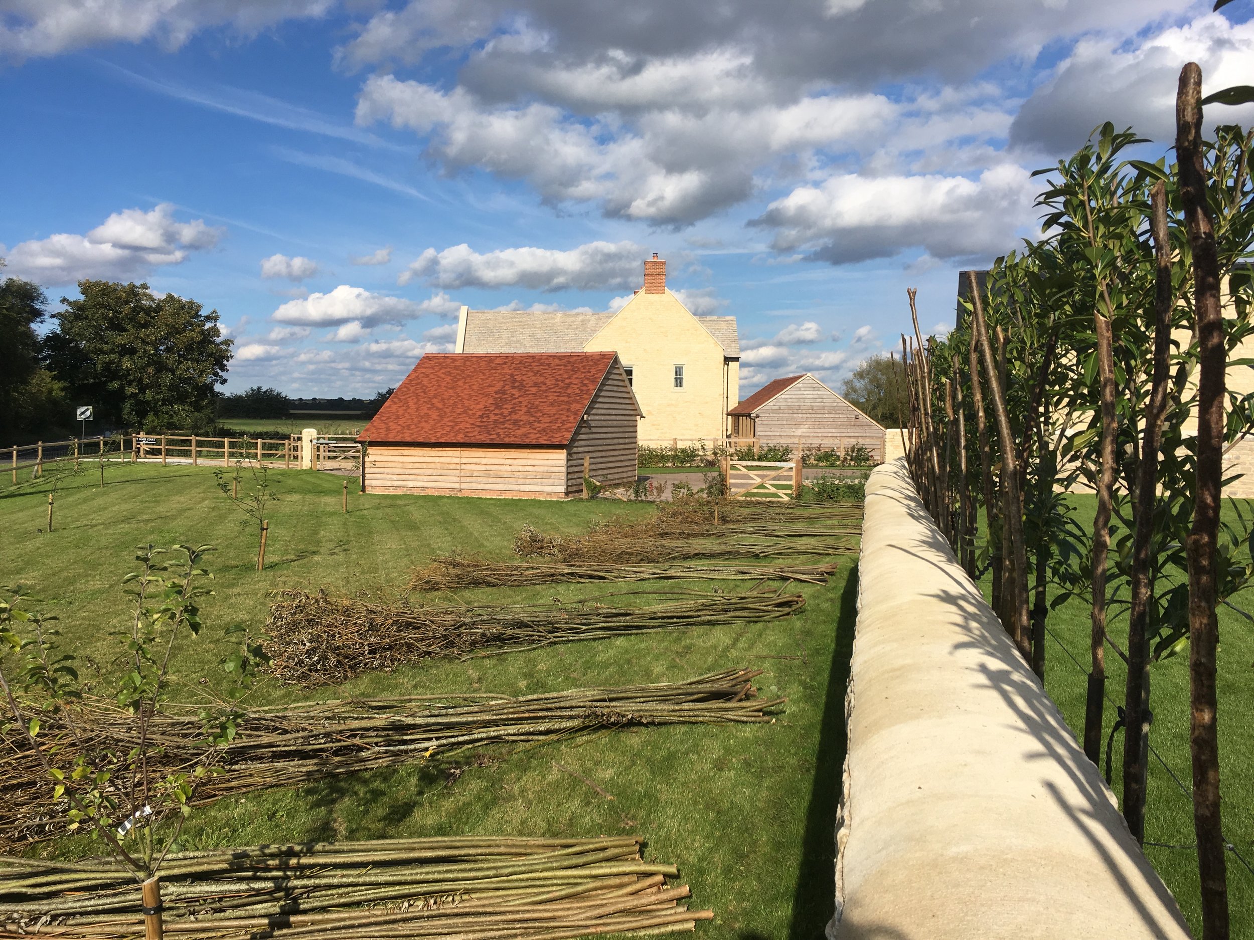 Willow fencing