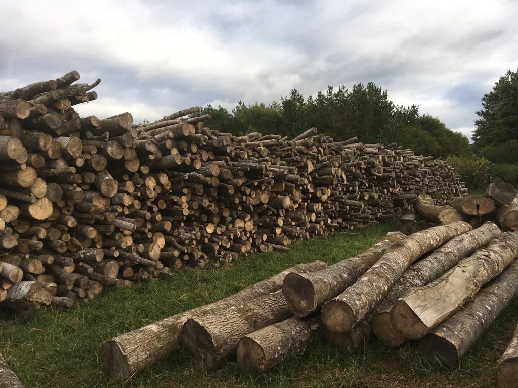 Ash fire wood stack