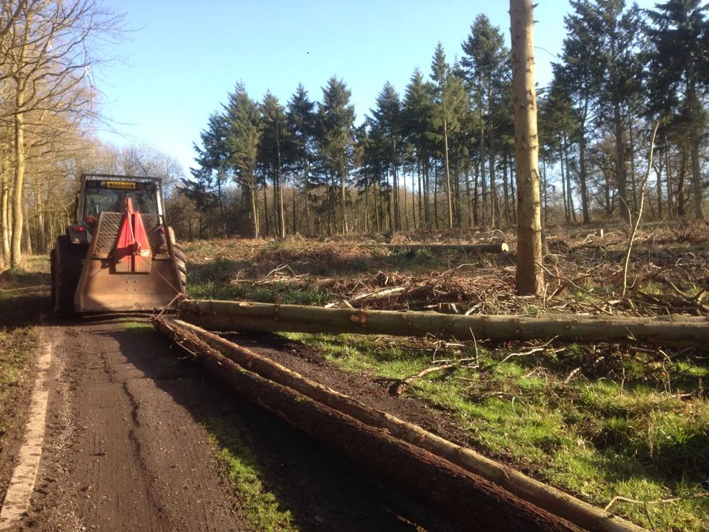Forestry operations
