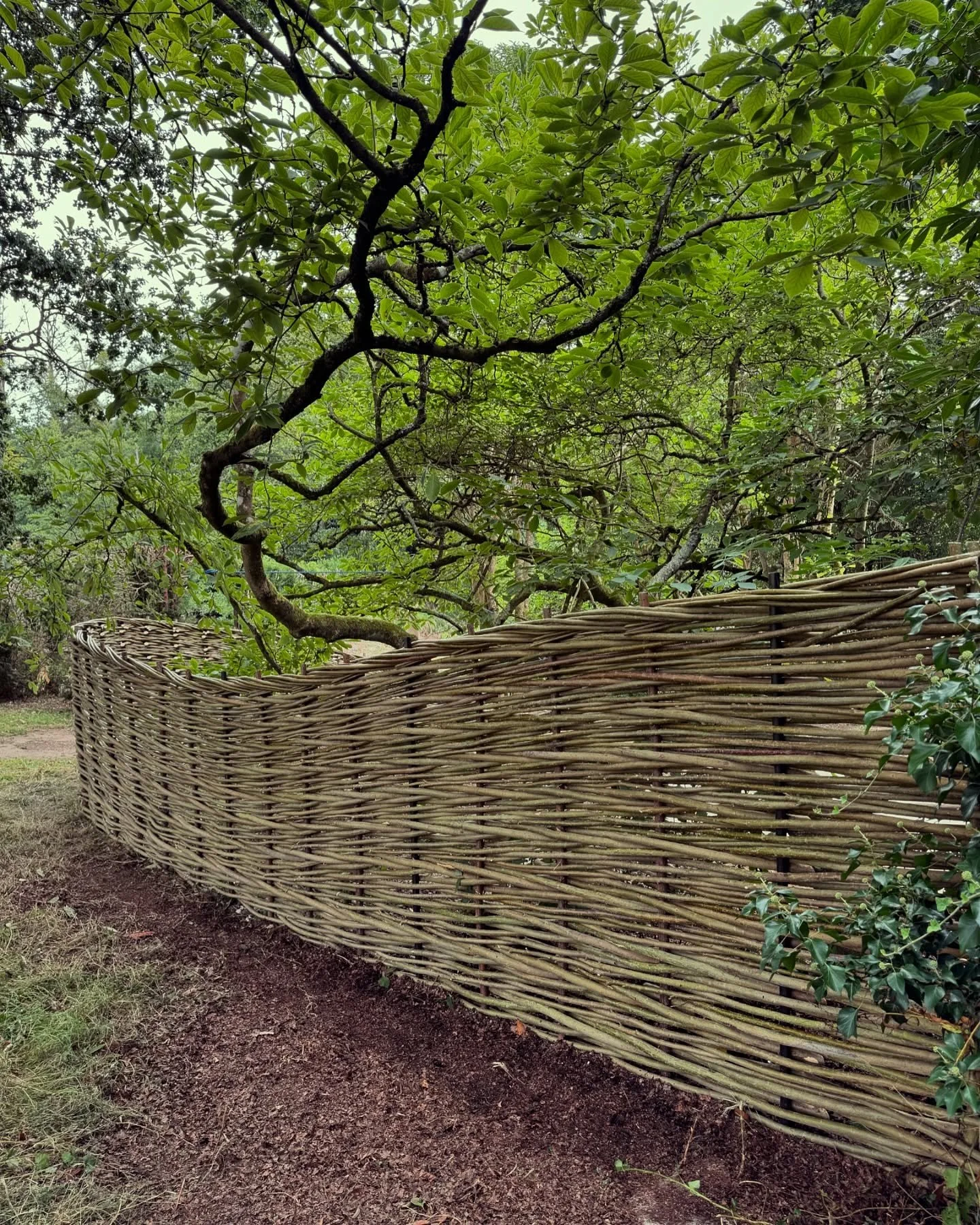 Some nice curves.
&bull;
&bull;
#wonderwoodwillow #wovenfencing #willow #garden #design #welcomehome #cotswolds #oxford #cambridge #suffolk #norfolk #gloucestershire #granddesigns #newbuild #bespoke #gardendesign #landscapedesign #coppice #cotswoldli