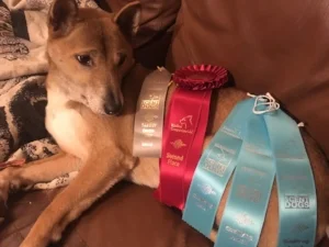 Journey is pretty good at cleaning house on trial days.