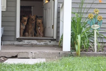 doorway2.jpg