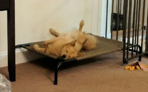Reinforcing a calm down on a bed is important, even if it's not graceful.