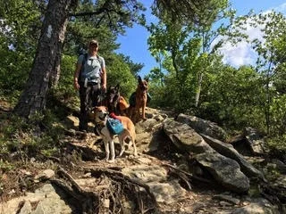 trail2.jpg