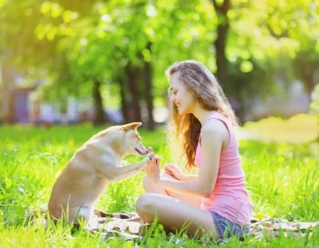 AdobeStock_69020737.jpeg