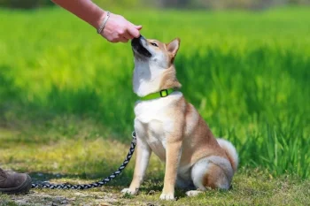AdobeStock_143948318.jpeg