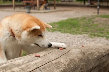 AdobeStock_200438549.jpeg