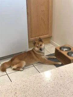 “I don’t care if the bowl is half empty or half full. It's refillable!”