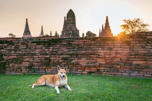 AdobeStock_195716186.jpeg