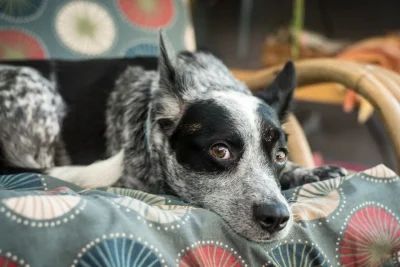 AdobeStock_168820479.jpeg