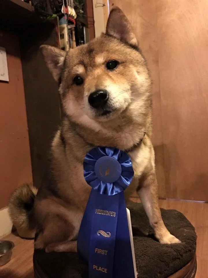Mashi after earning… some title (oops!)