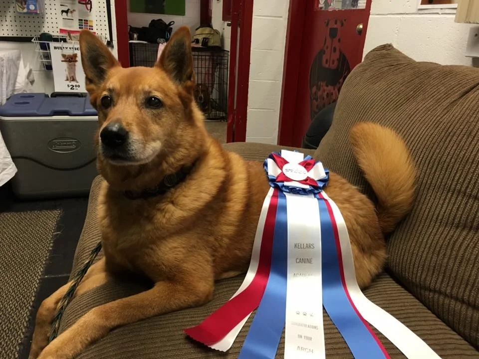 Okay I remember this one! This was Tracker’s ARCH. (though I can cheat and read the ribbon)