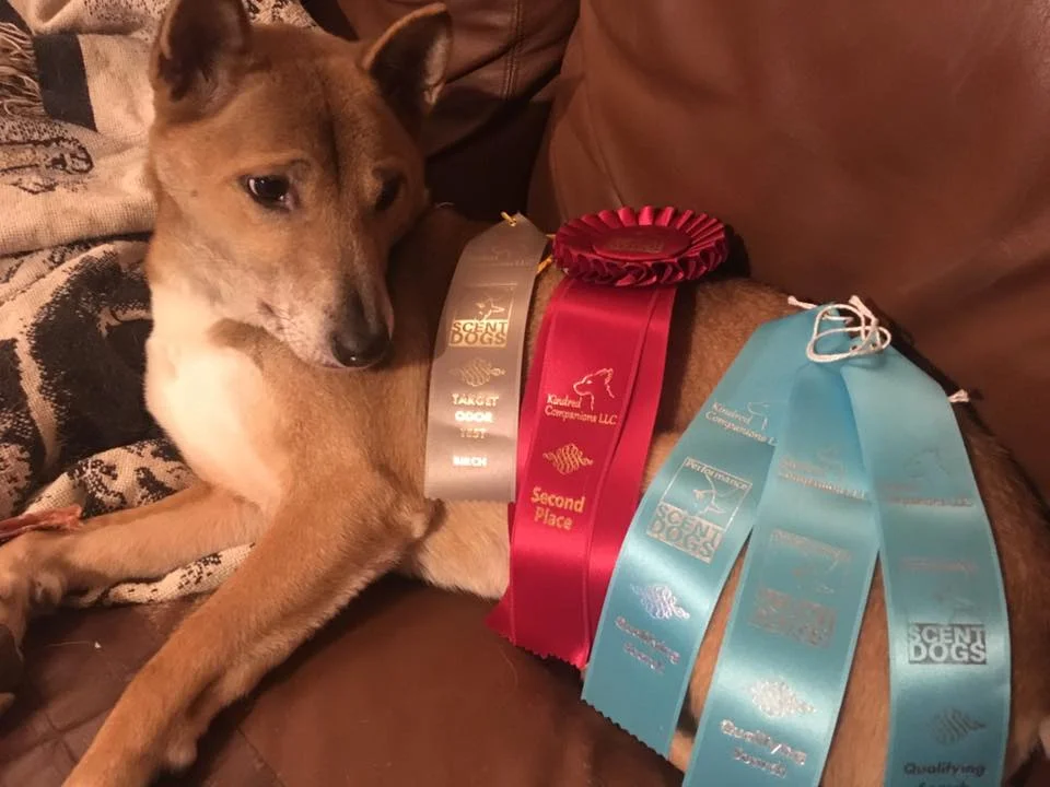 Don’t get me wrong. I am trilled for these accomplishments. This was Journey’s first PSD NW trial. It just all starts to blend together when you do it as much as I used to. <3
