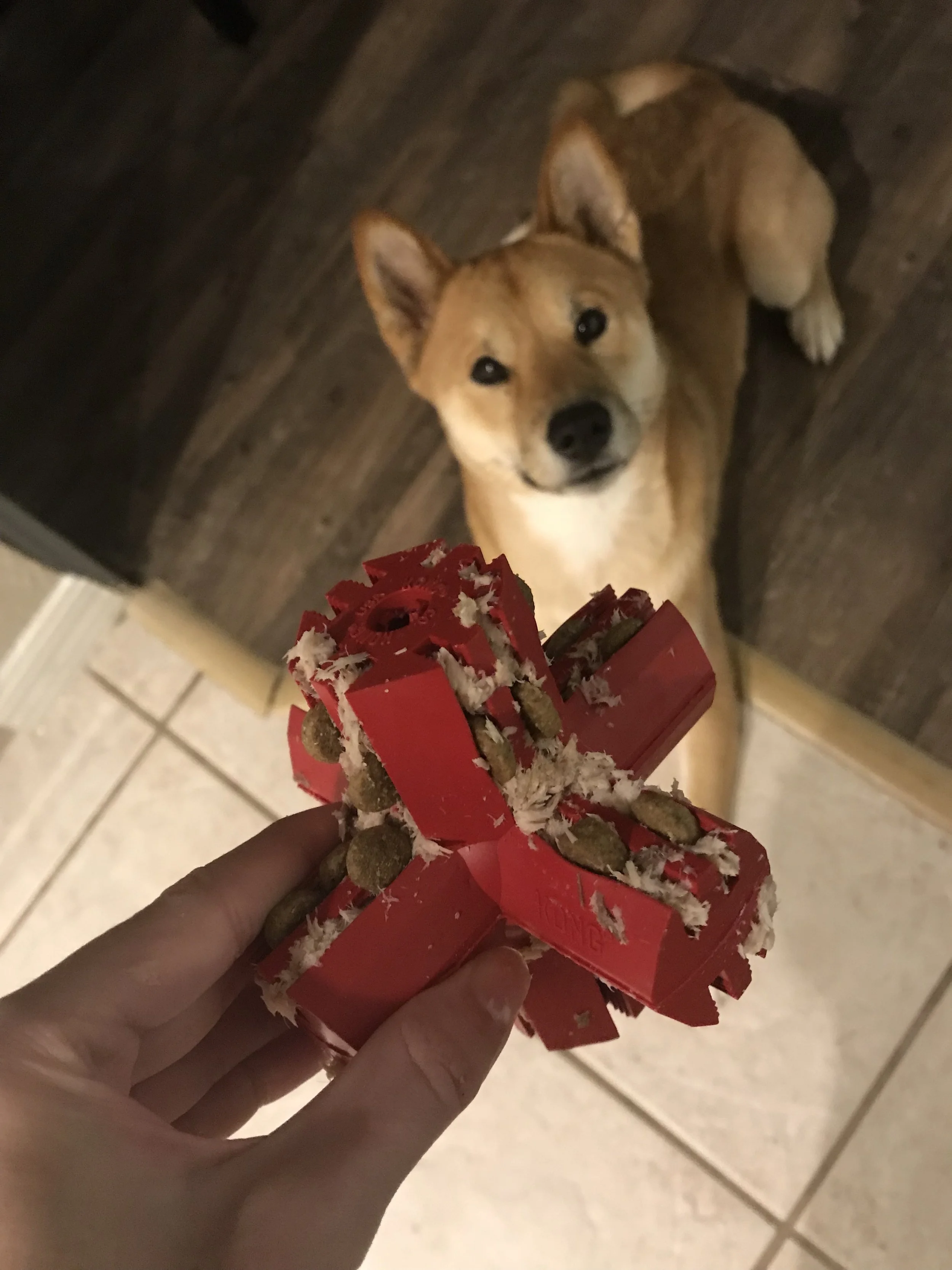 This unique ridged design is great for hiding treats! Fish & kibble stuffing shown.