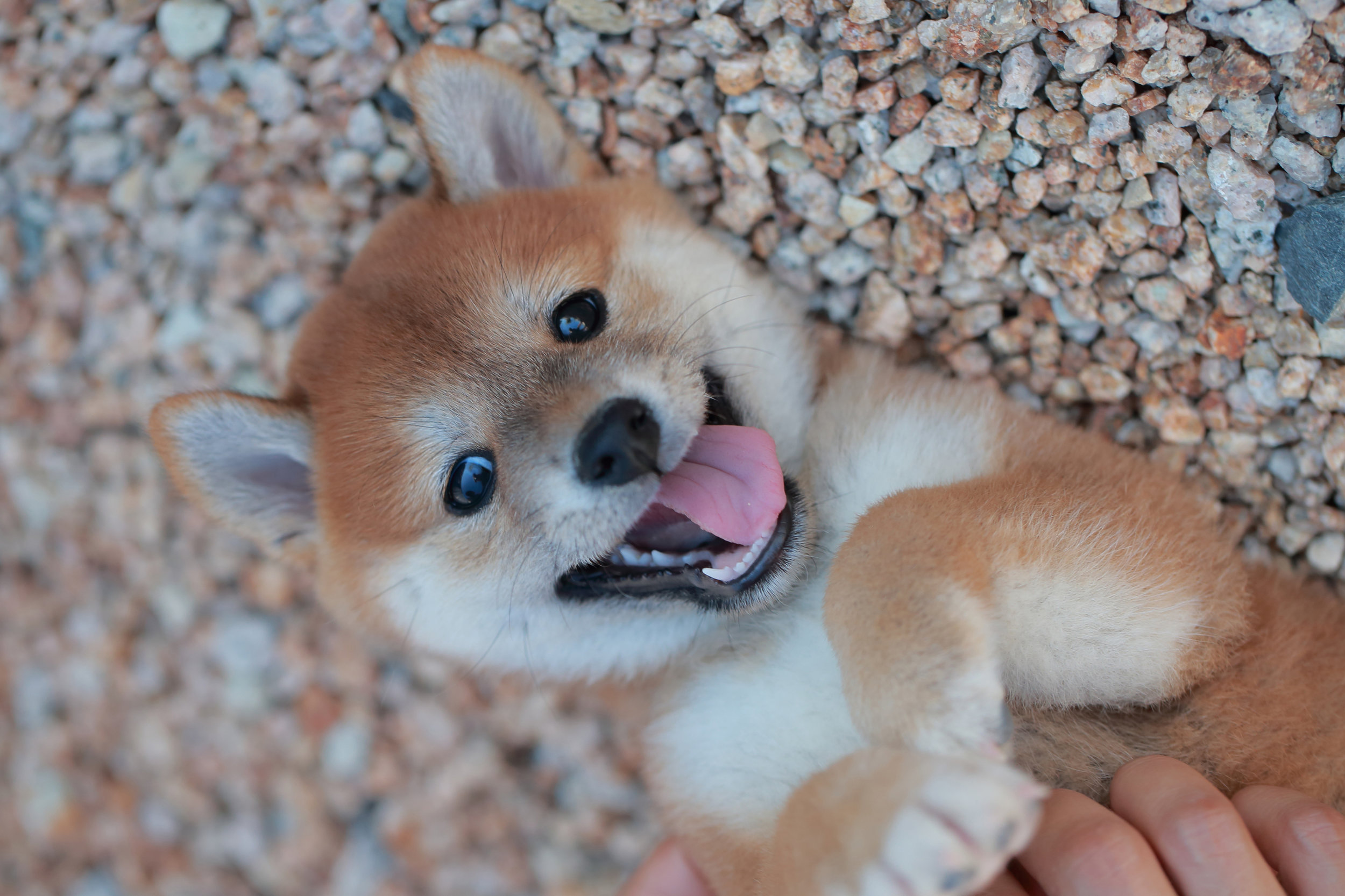 AdobeStock_172662044.jpeg