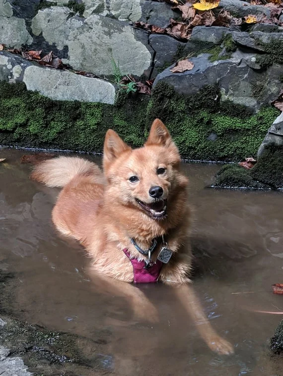 kimma water.jpg
