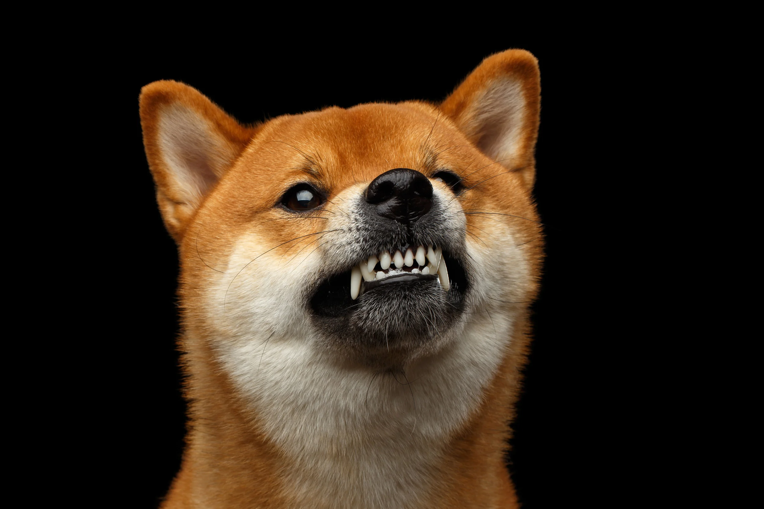 AdobeStock_139472182.jpeg