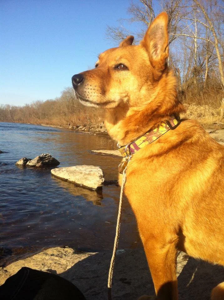 Tracker in her glory days.