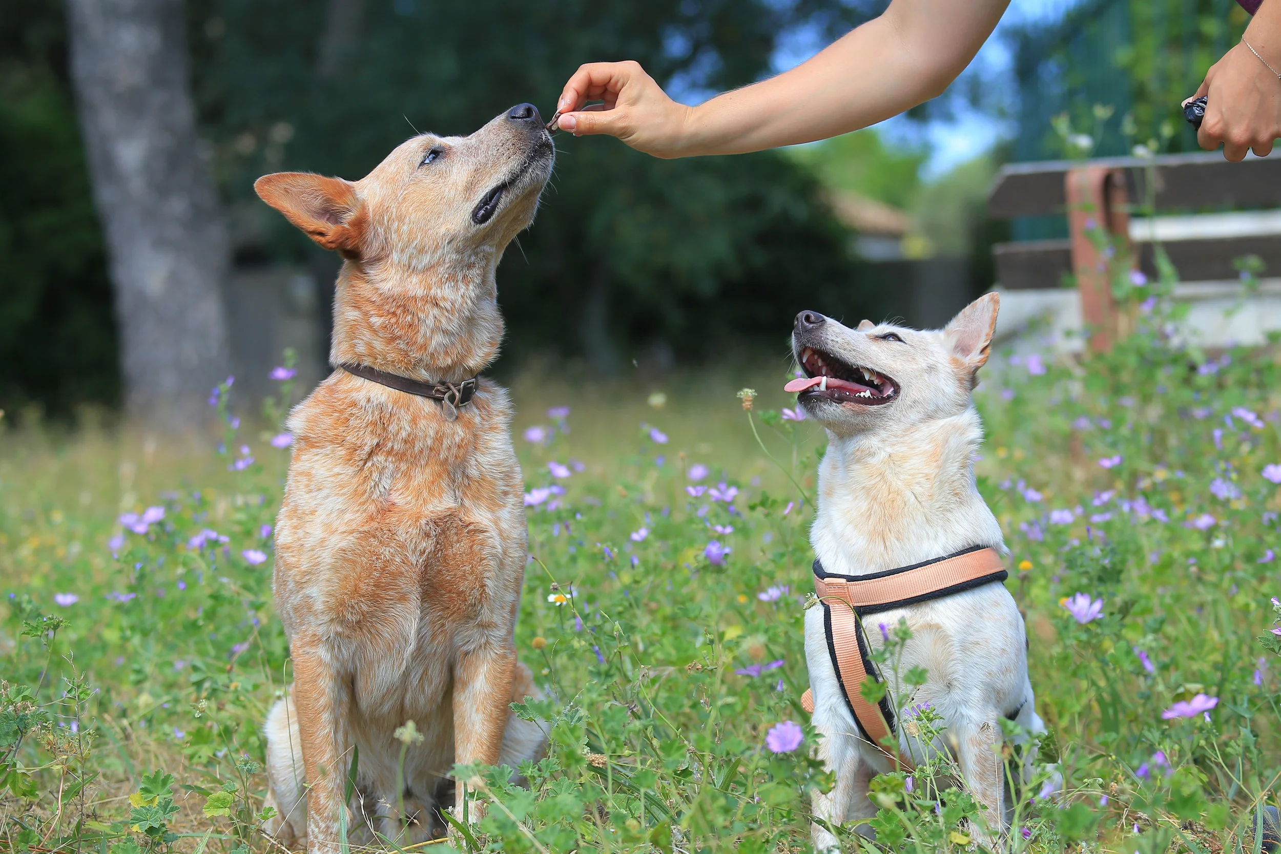 AdobeStock_210214007.jpeg