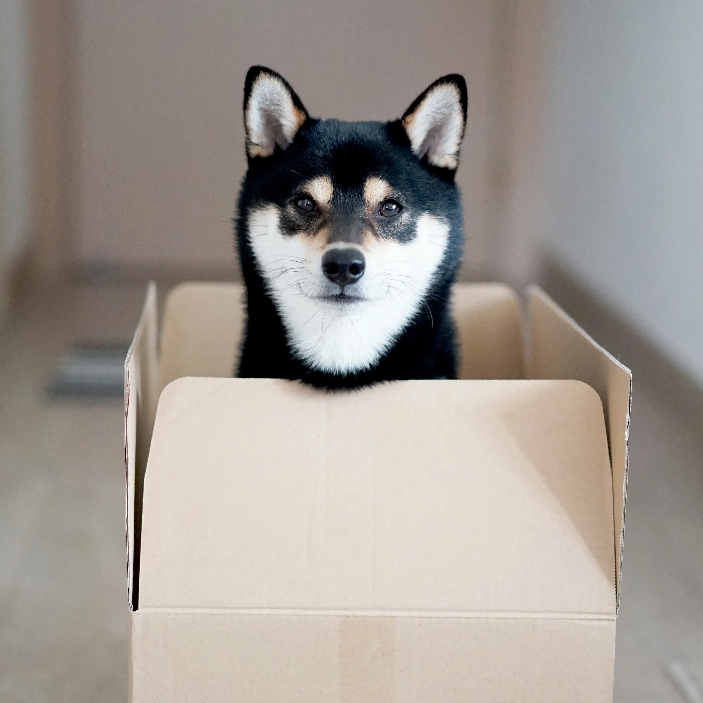 AdobeStock_161883464.jpeg