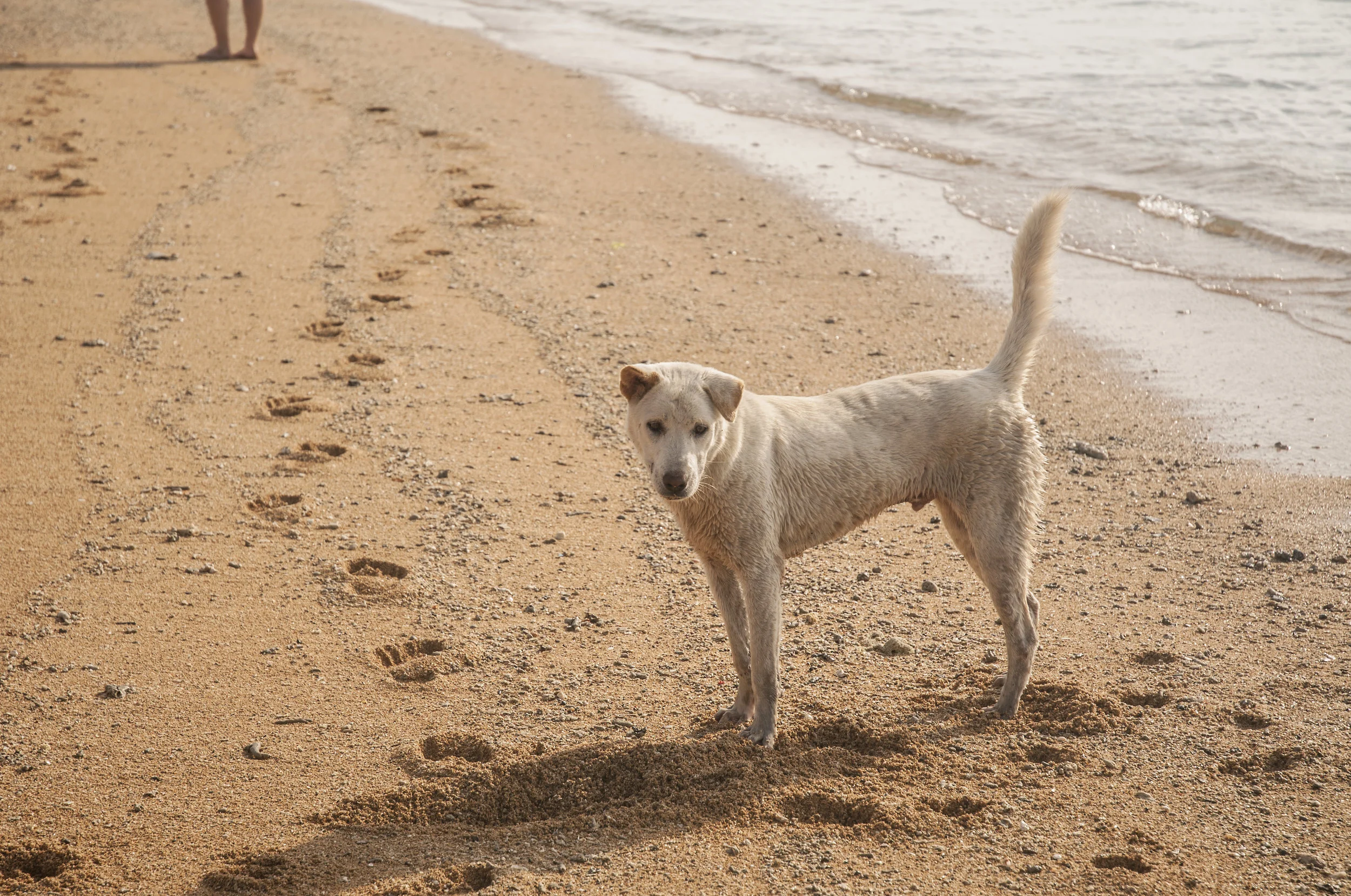 AdobeStock_64940083 (1).jpeg