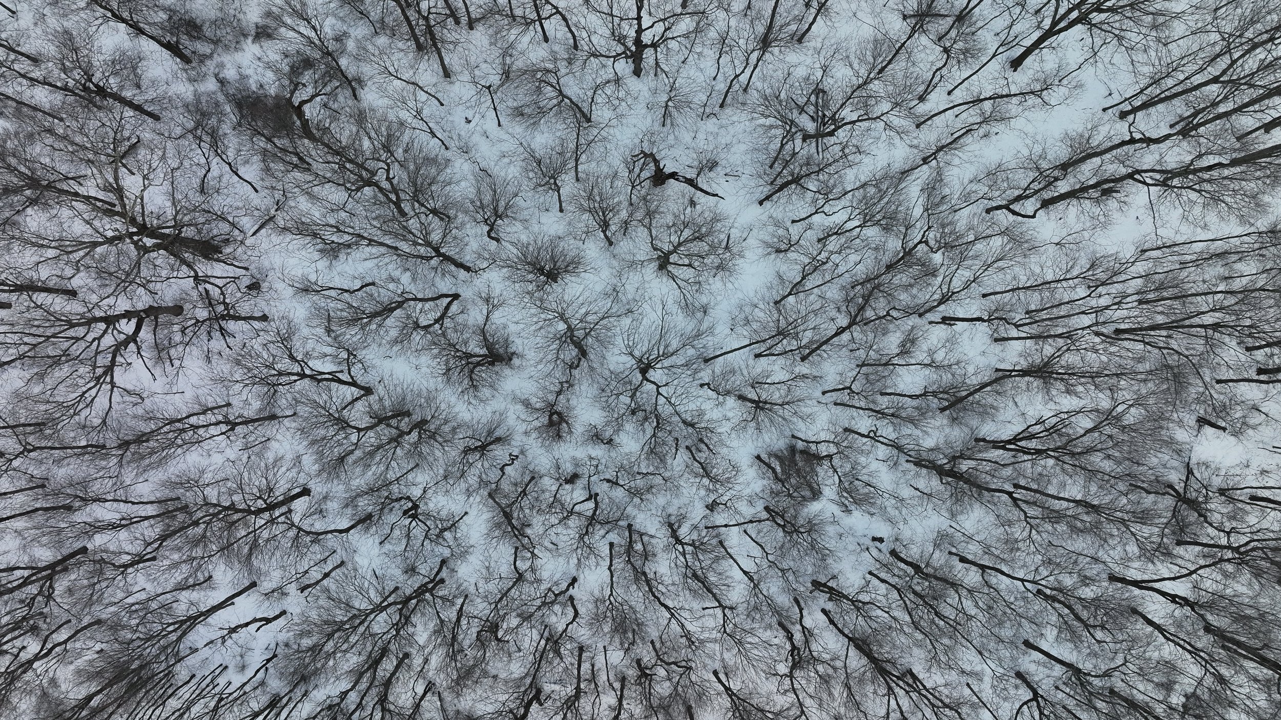 DJI_0014.JPG