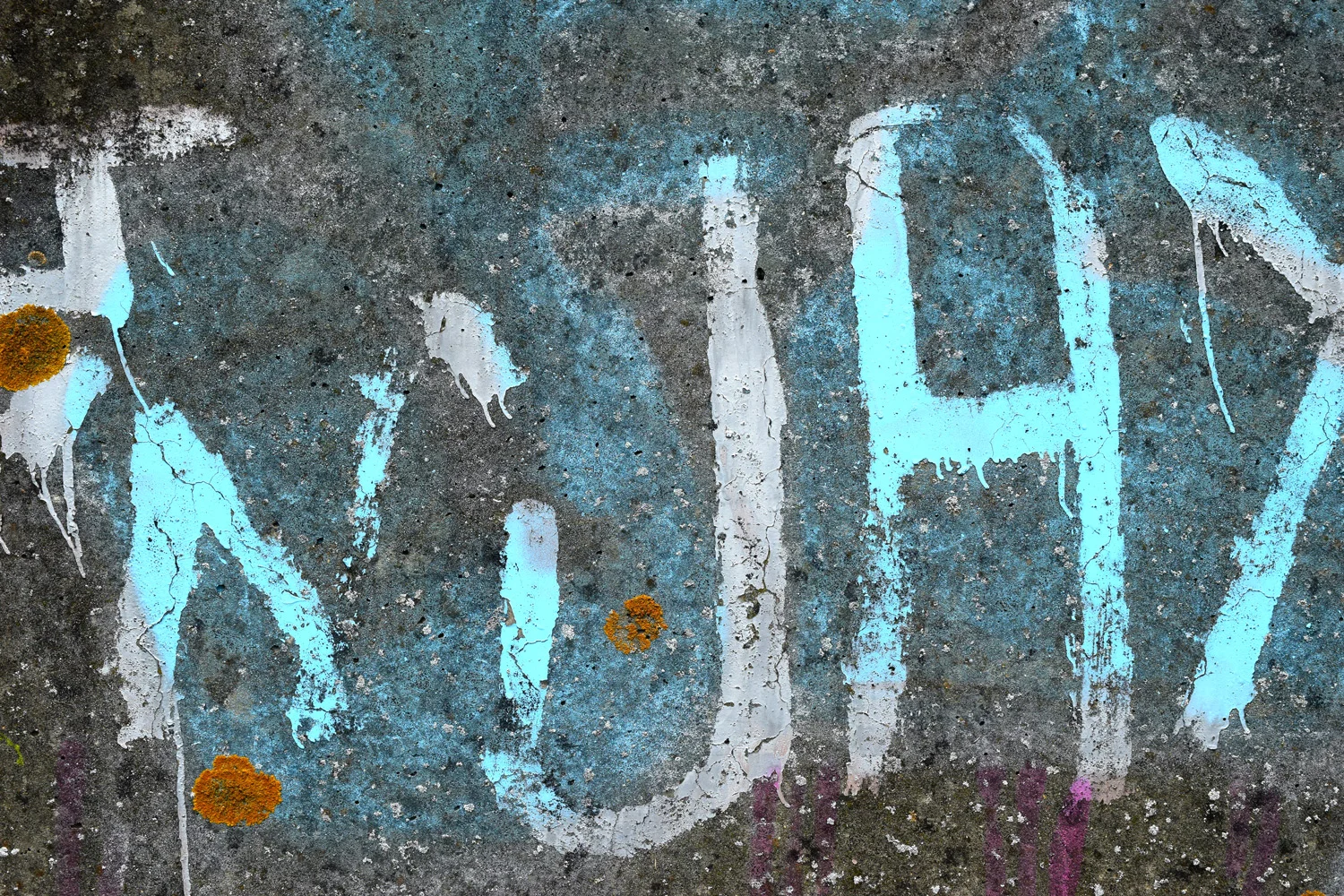 DSC_0075.jpg