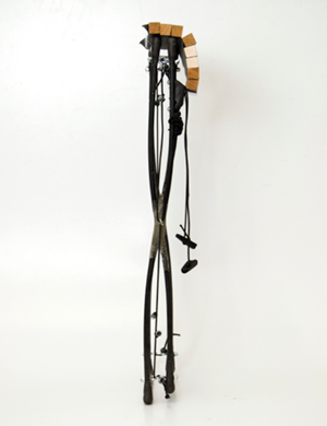 final model 1.png
