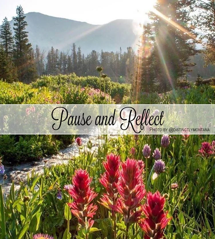 It’s a beautiful day to live your life 