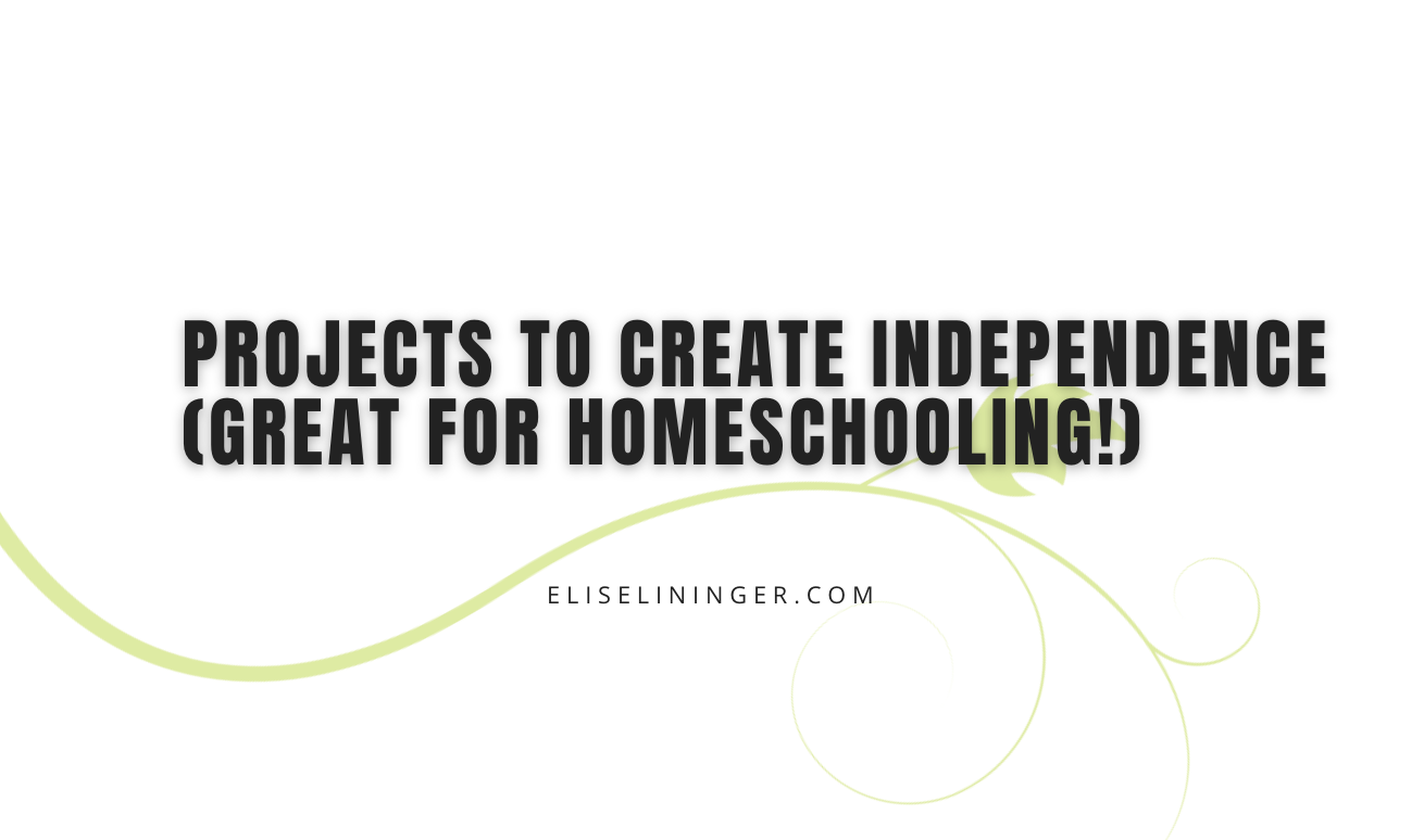 Projects to Create Independence (great for homeschooling!)