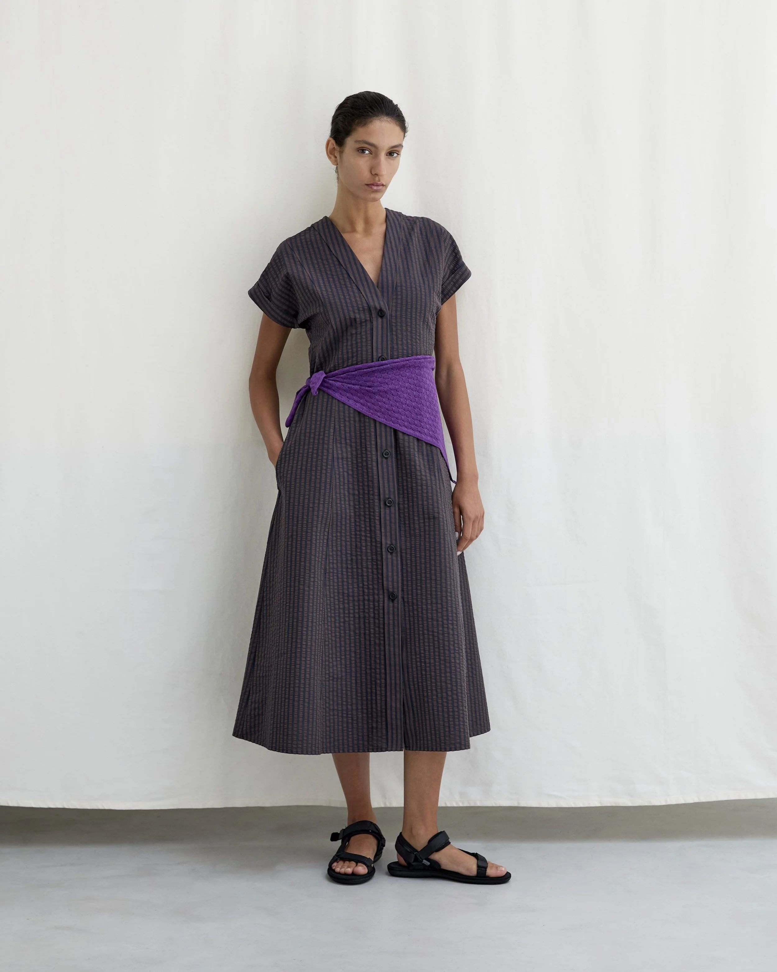 Diarte SS2610485.jpg