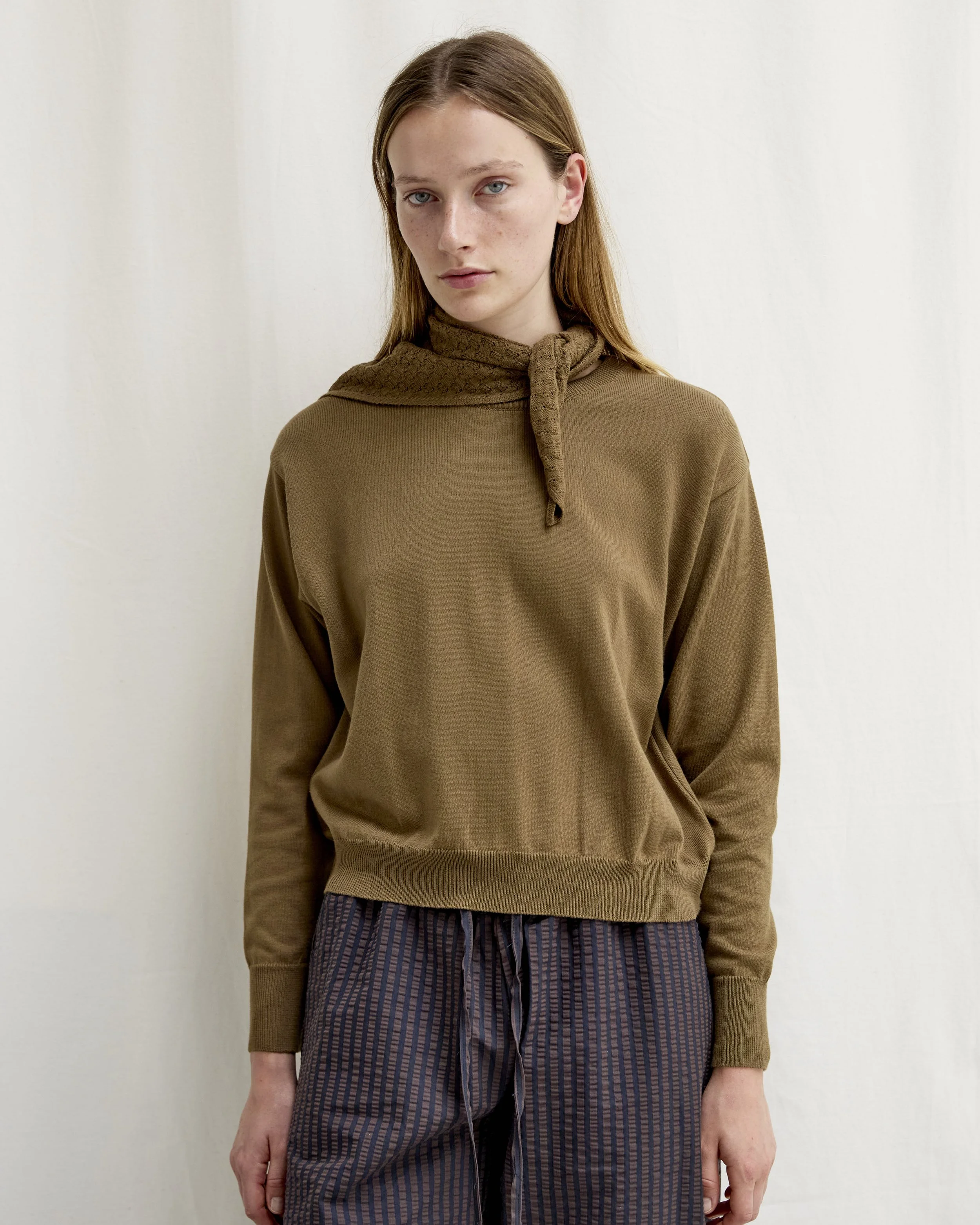 Diarte SS2610733.jpg