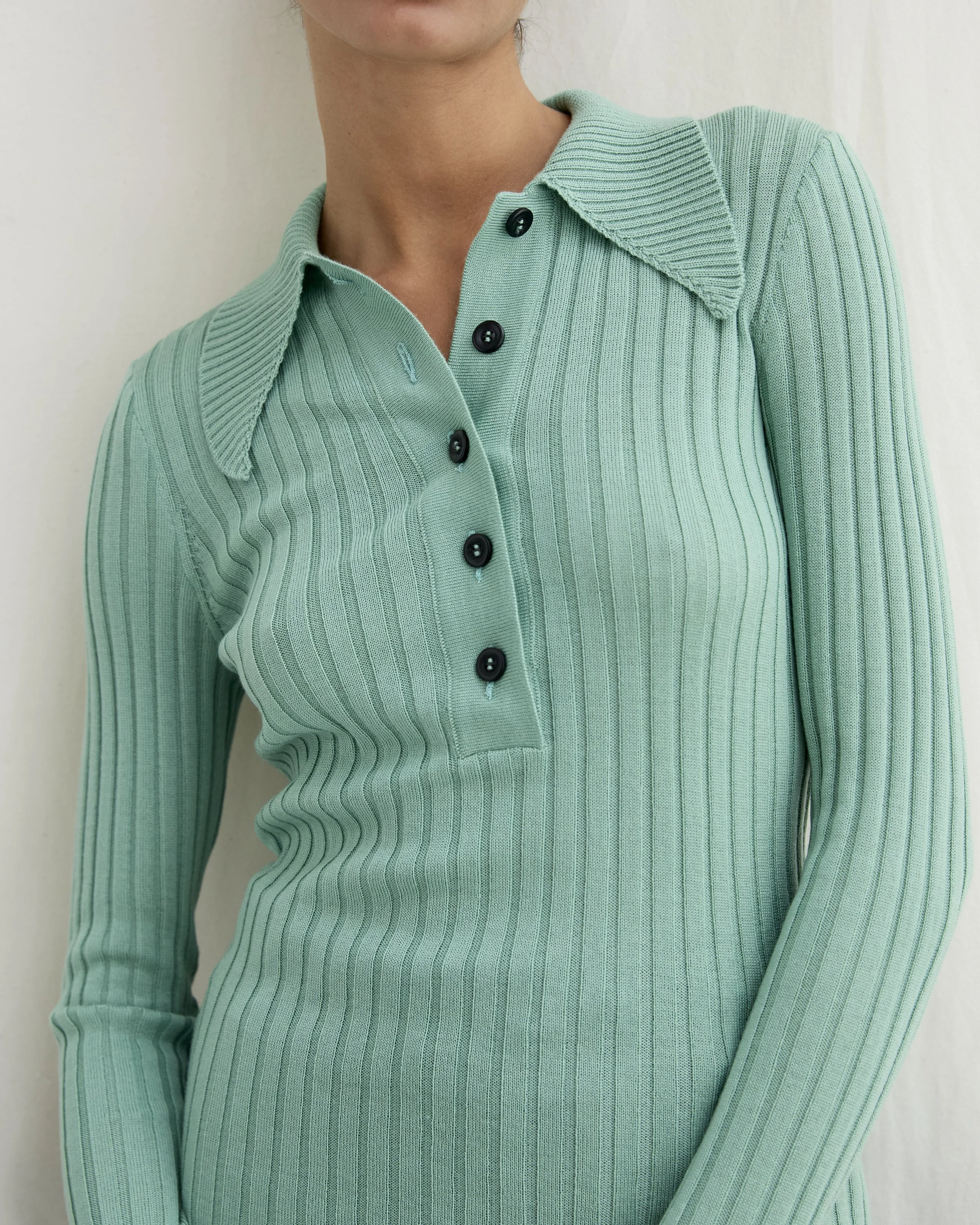 Diarte SS2610638.jpg