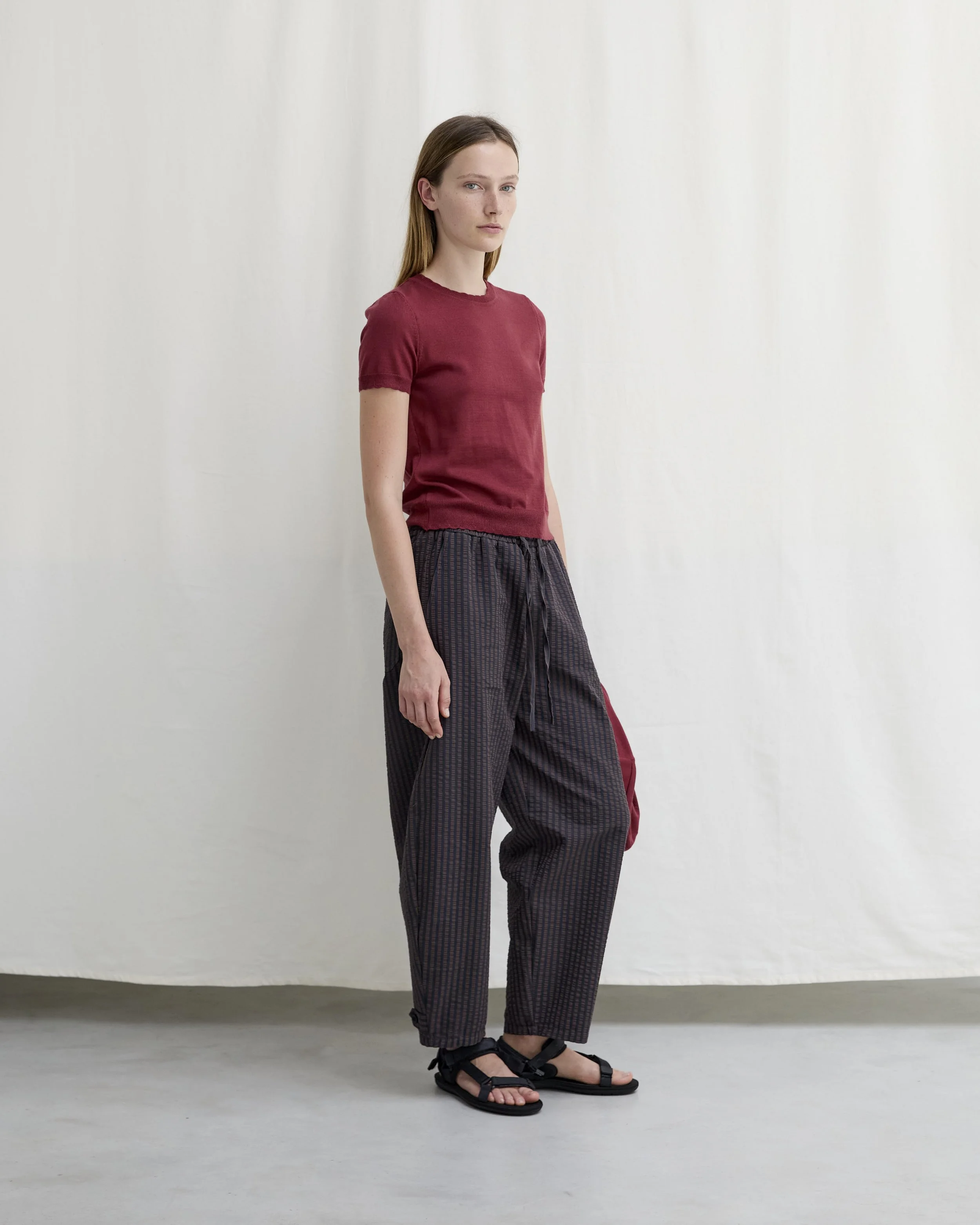 Diarte SS2610777.jpg