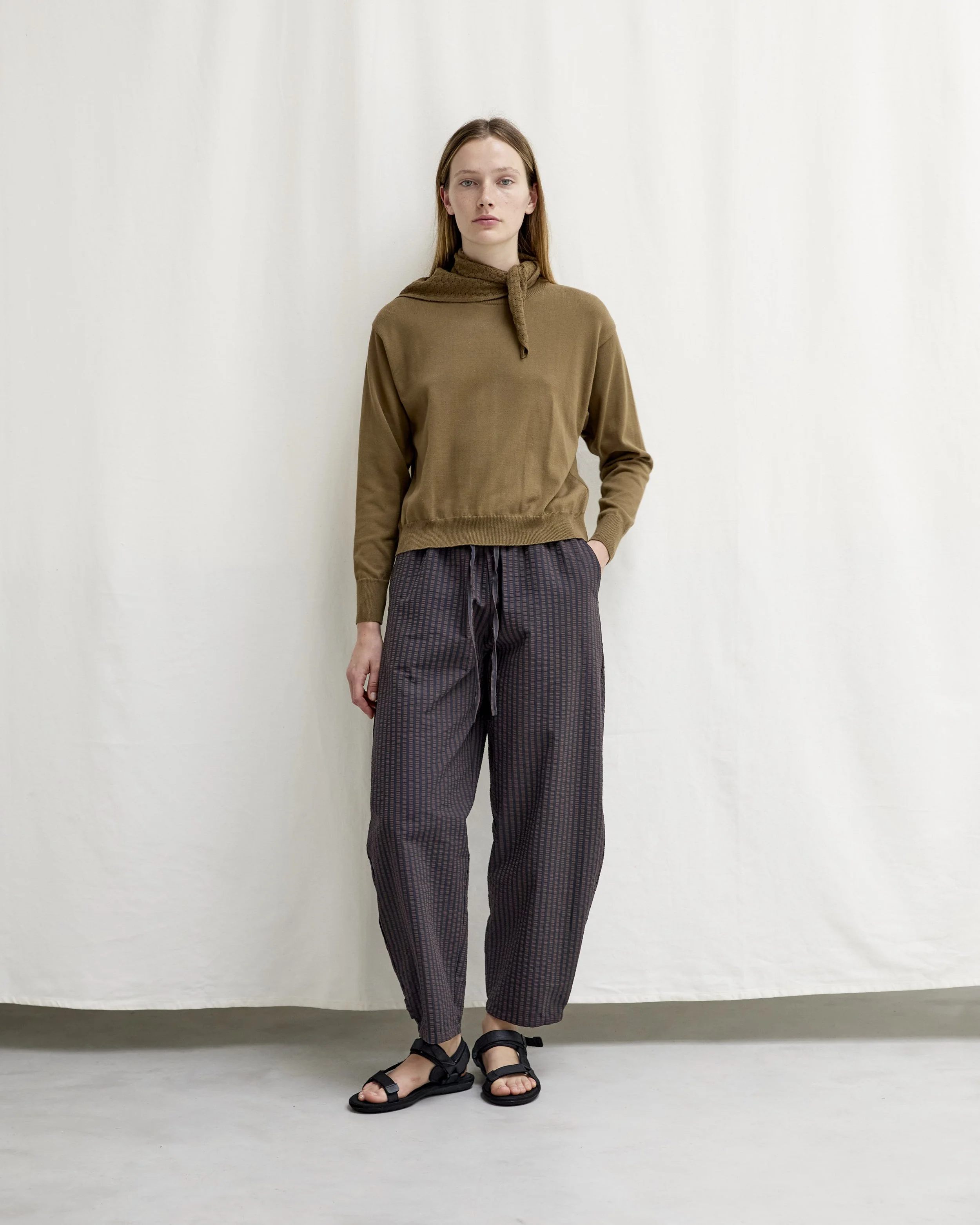 Diarte SS2610712.jpg