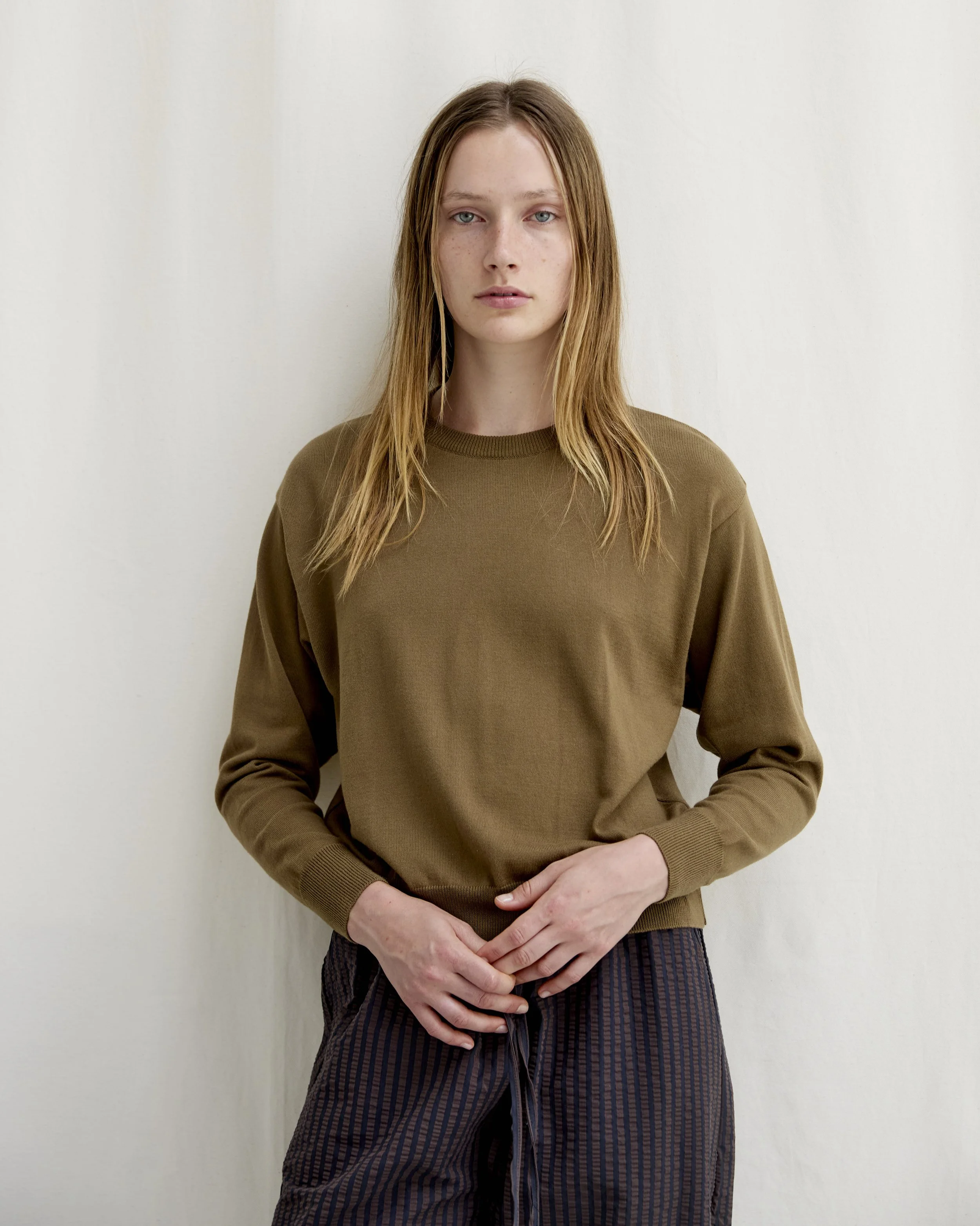 Diarte SS2610740.jpg