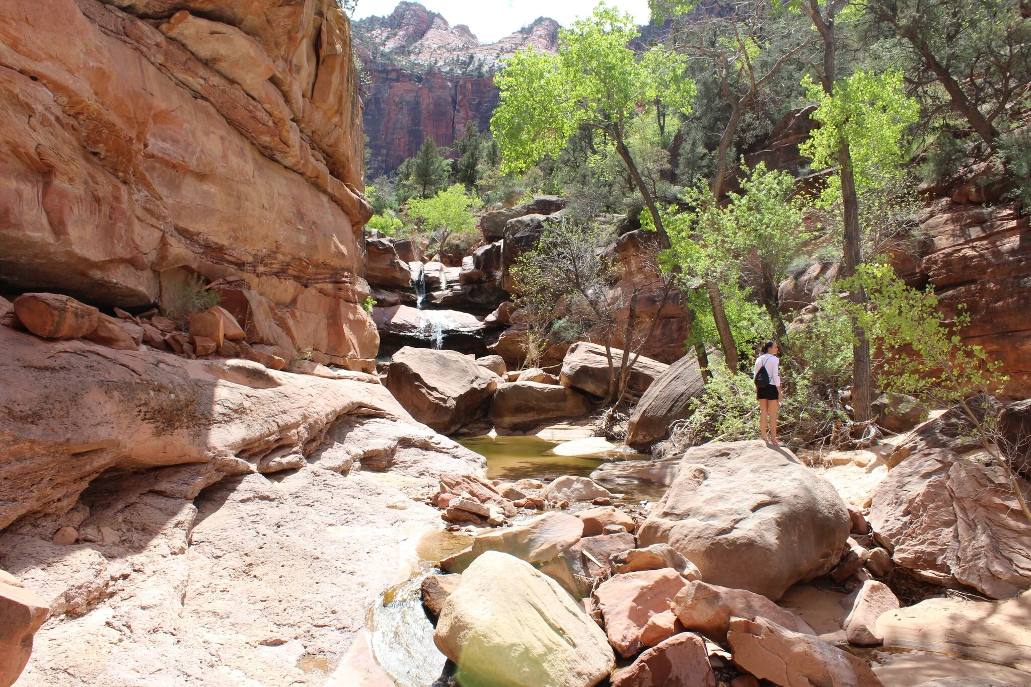  Zion National Park 