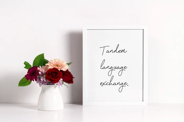Tandem-language-exchange-1.jpg