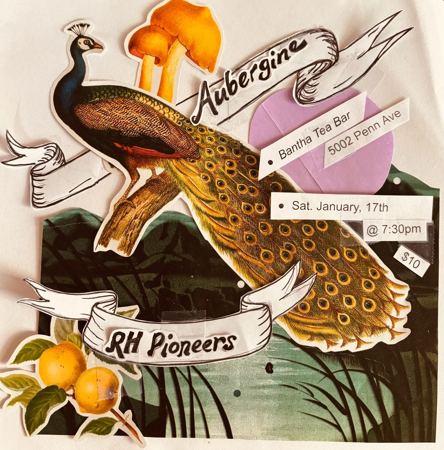 Aubergine + RH Pioneers TONIGHT Jan. 17! Doors at 7, Show starting 7:30 🦚

$10 entry! 
@auberginetheband