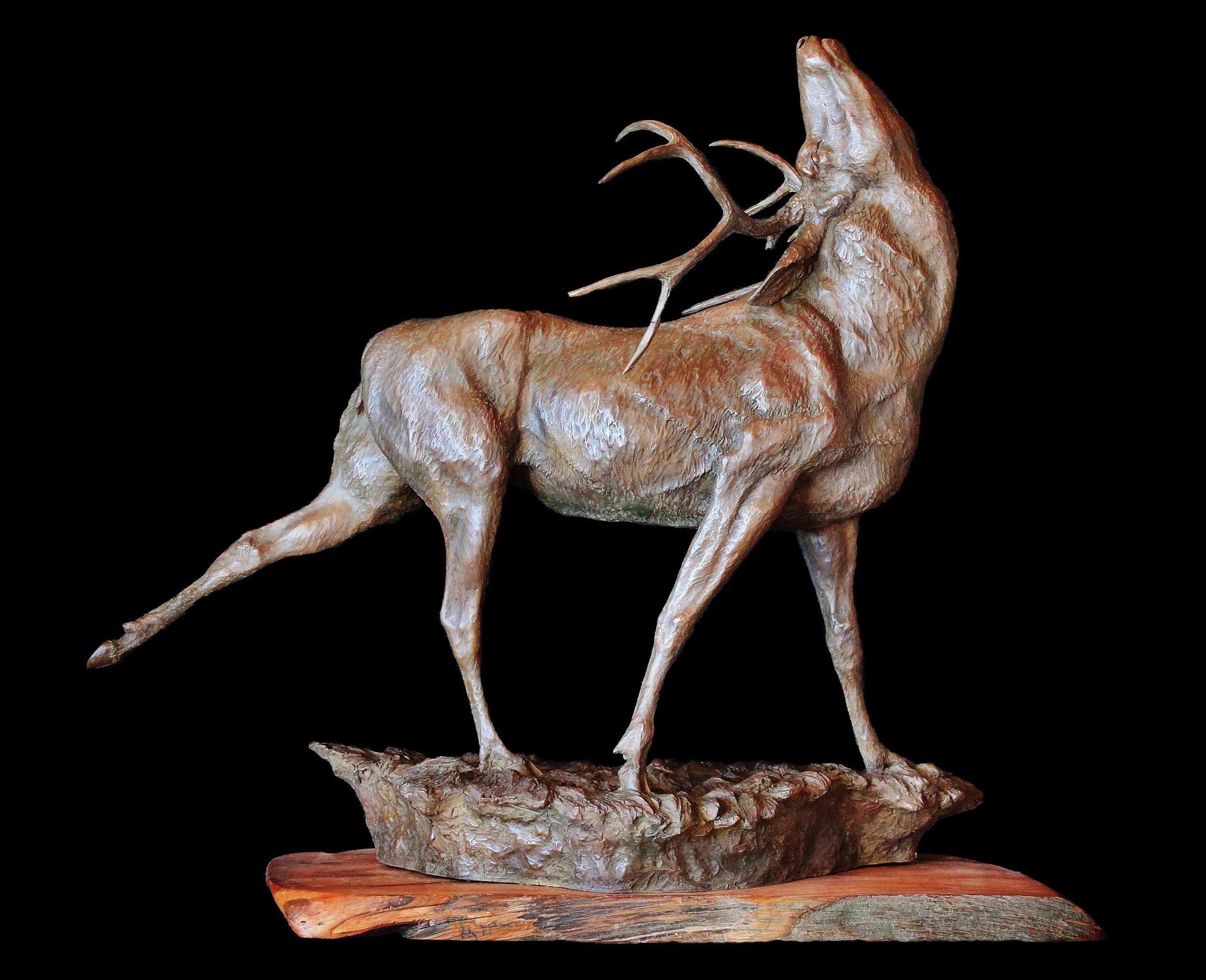 "Twilight" by Jeff Wolf