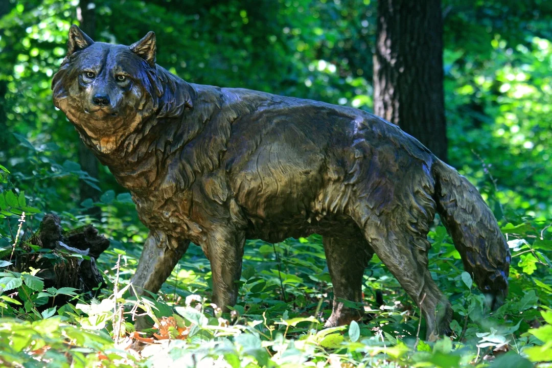 "Pack Leader" by Raymond Gibby