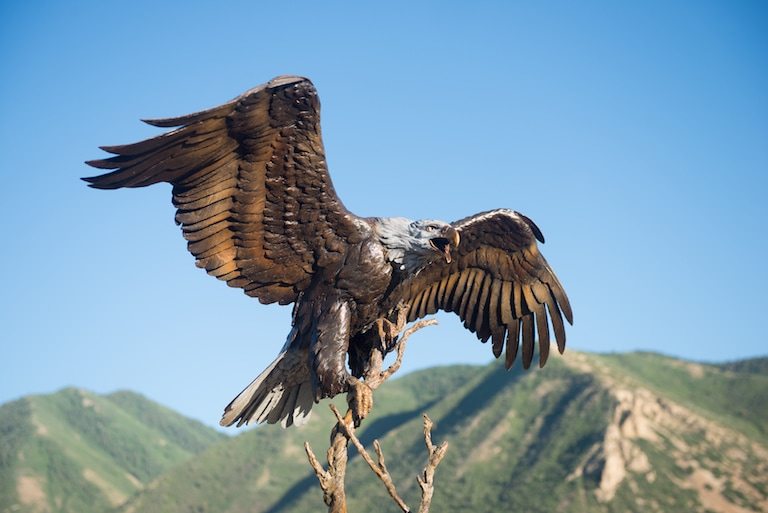 gibby-bronze-life-size-eagle-sculpture-triumphant-3_orig.jpeg