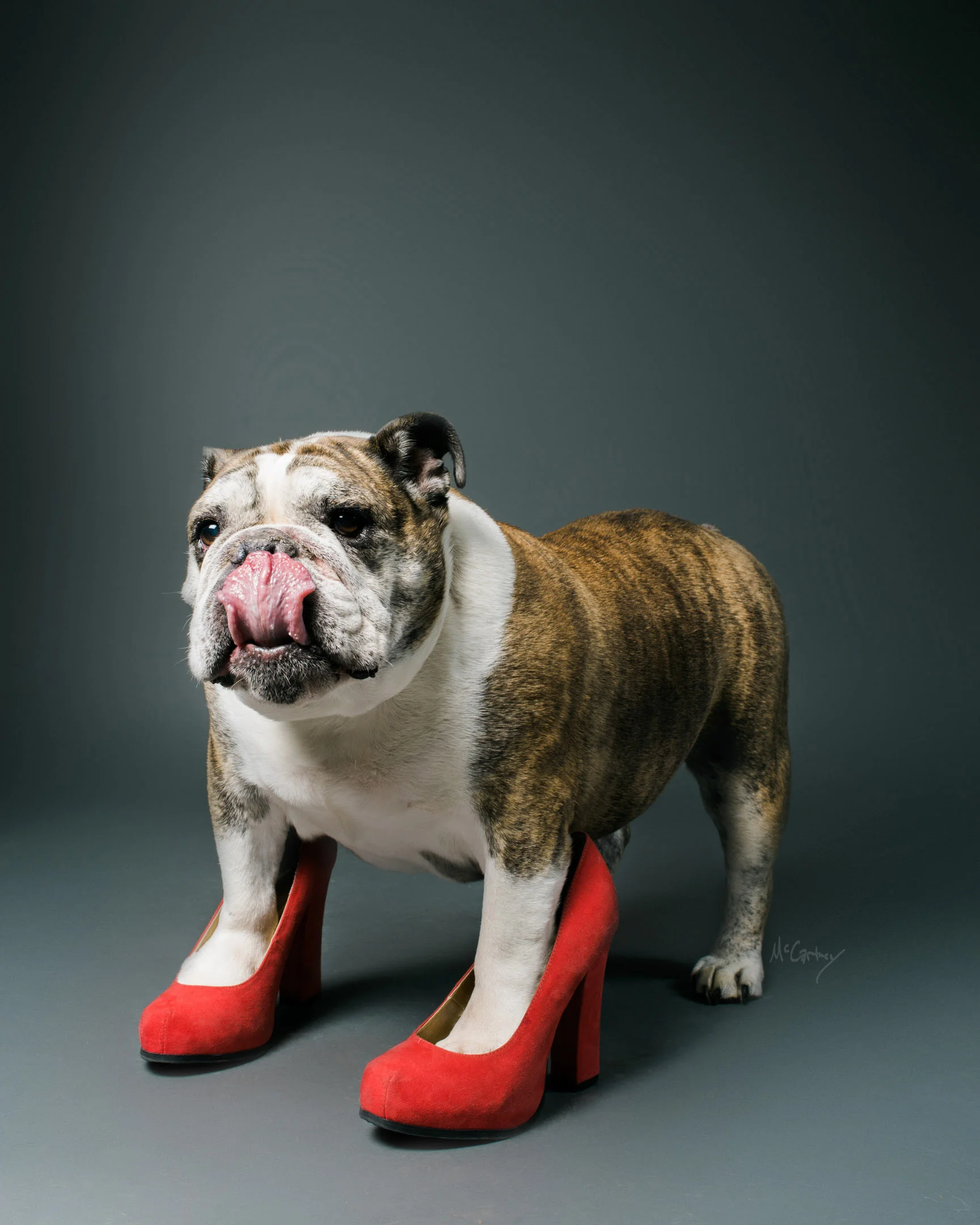 041-PrettyPawsFaves.jpg